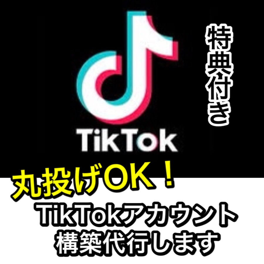丸投げOK! TIKTOKアカウント構築します TIKTOKを始めたいけど何からすればいいの？！ イメージ1