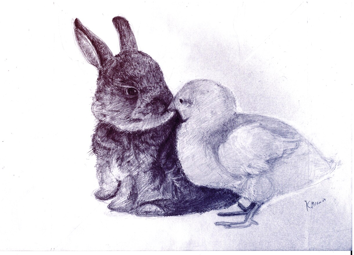 温かみのある鉛筆画でペットさんの絵をお届けします いろいろな動物描けます！記念やプレゼント用に イメージ3