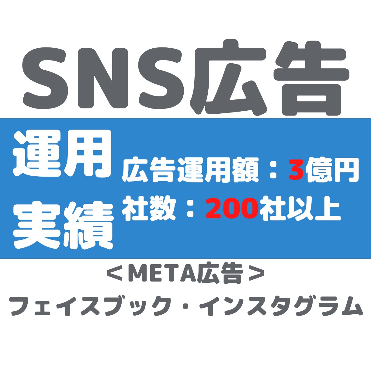 資格取得者がMeta広告のセカンドオピニオンします SNS広告の成果向上に向けたアカウント診断サービス イメージ3
