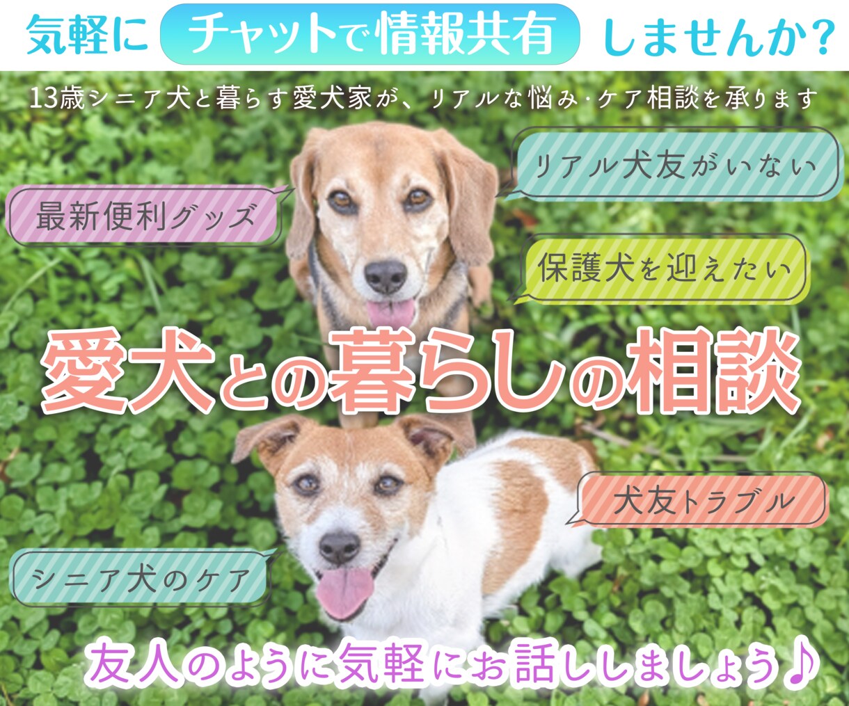 愛犬との暮らし、リアルな日常の相談お聞きします シニア犬と暮らす愛犬家がお伺い｜フード・ケア・日常の悩み イメージ1