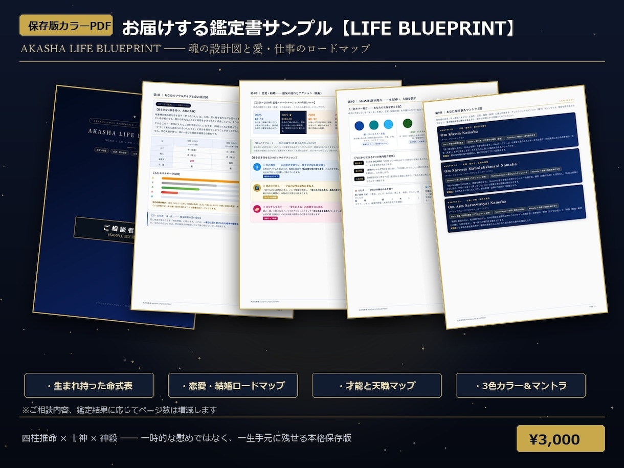 なぜ「同じ壁にぶつかるのか」命式で解き明かします 四柱推命×十神×神殺・カラーPDF鑑定書3日以内 イメージ2