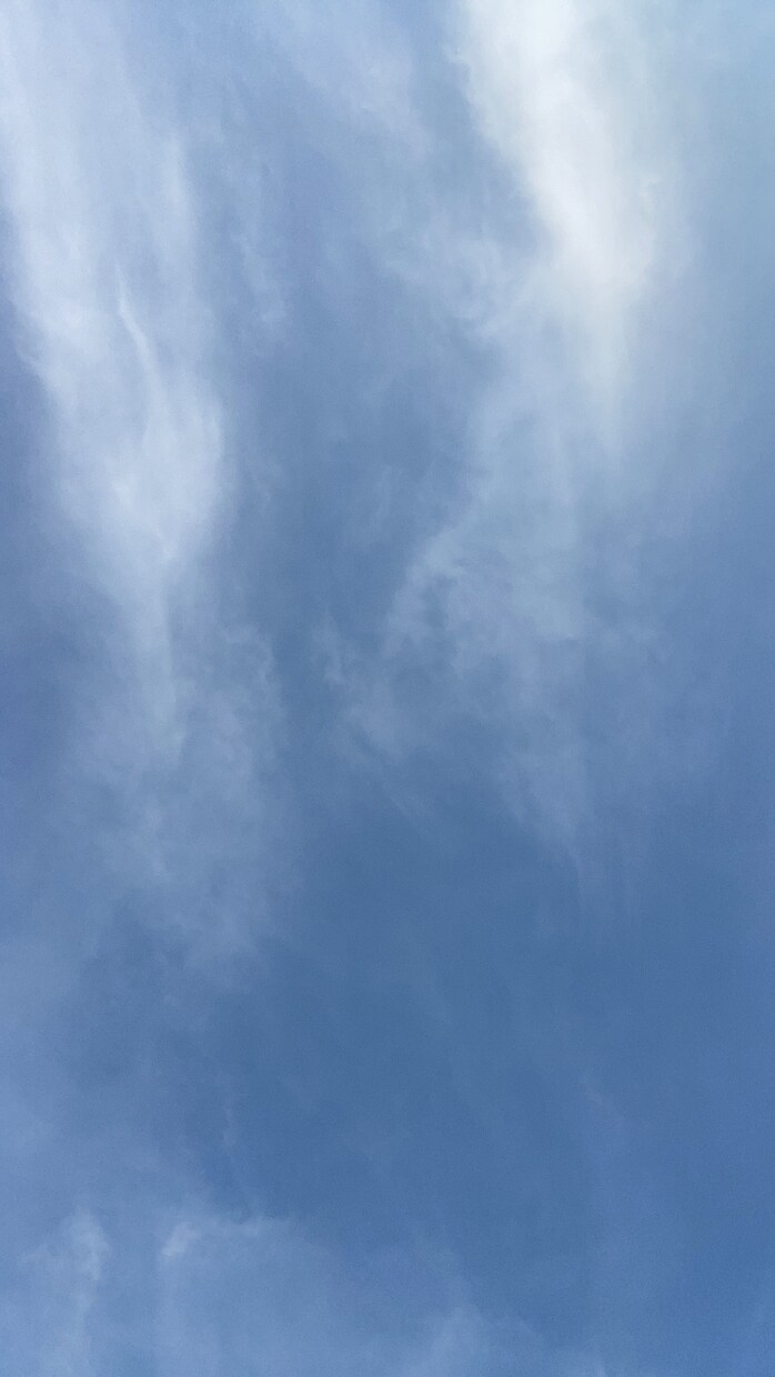 学校が辛い方相談に乗ります はいあがろう、今はキツくて力がないのはとてもわかるよ。 イメージ1