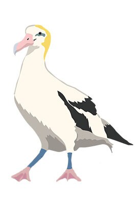 主に子供向けのイラストを制作しています 一般のイラストも制作しています。 イメージ5
