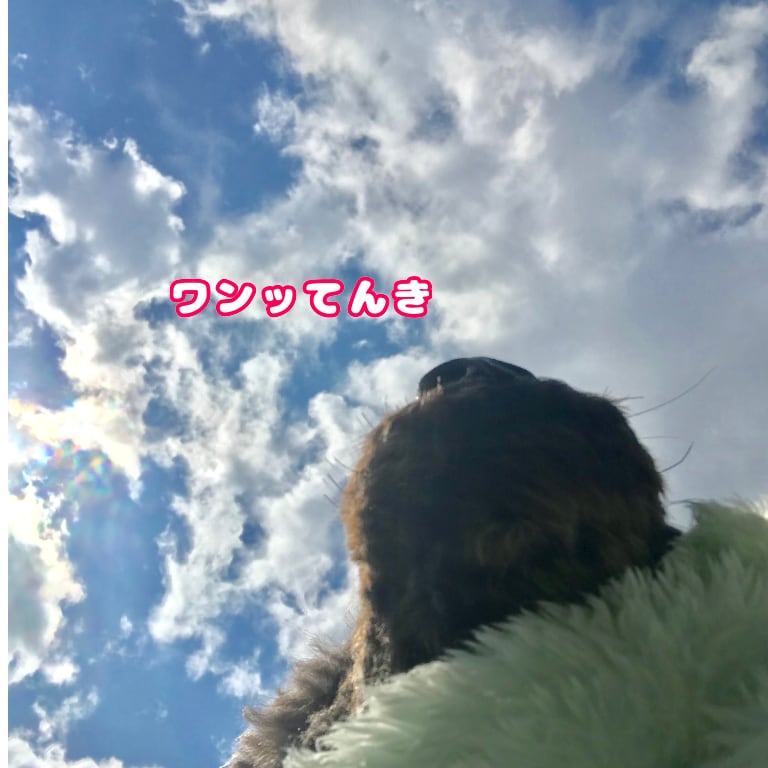 商品のネーミング、ペットの名前、アイデア考えます 笑い、楽しい、素敵！色んな独特のアイデア考えます！ イメージ2