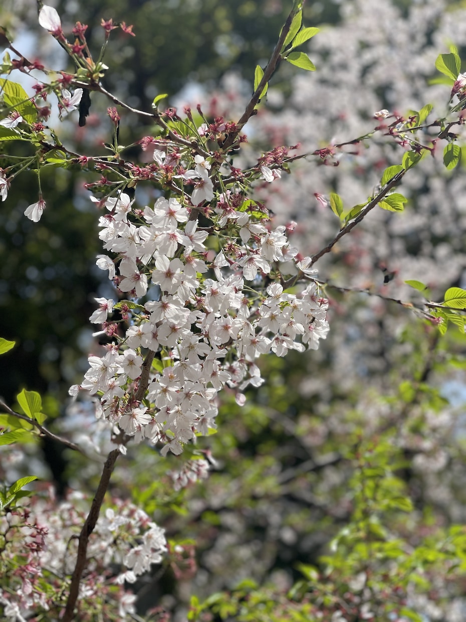占い依存から抜け出したい！などお話お聞きします とにかく誰かに聞いて欲しい！という方に心から寄り添います イメージ1
