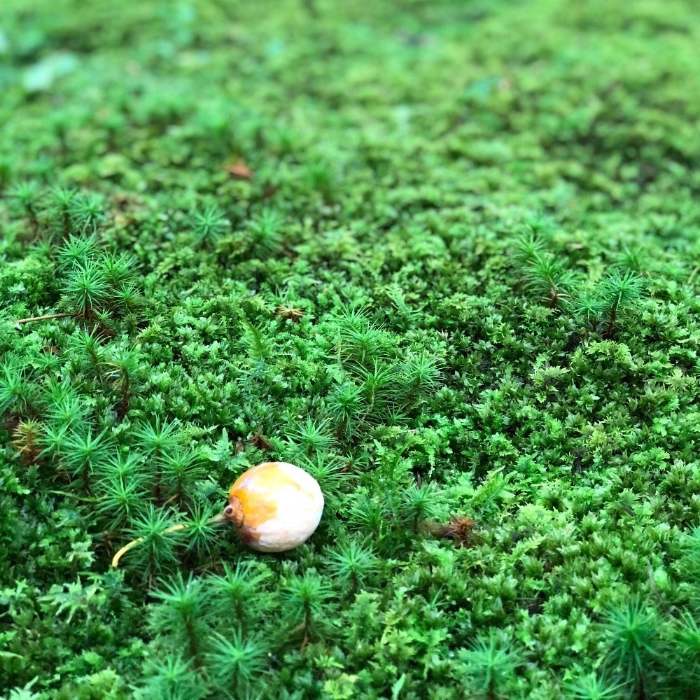 手相占いしております 人生について、いろいろ気になる時にオススメです！ イメージ1