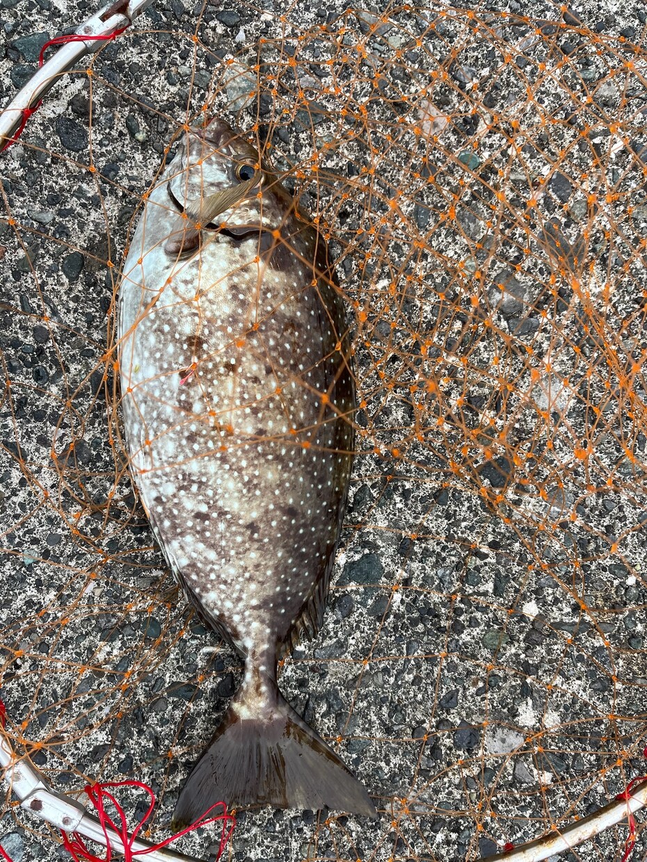 あなたのフカセ釣りを一から丁寧に考えます 周りに聞ける人、いなくても大丈夫。最適な方法を考えます！ イメージ7