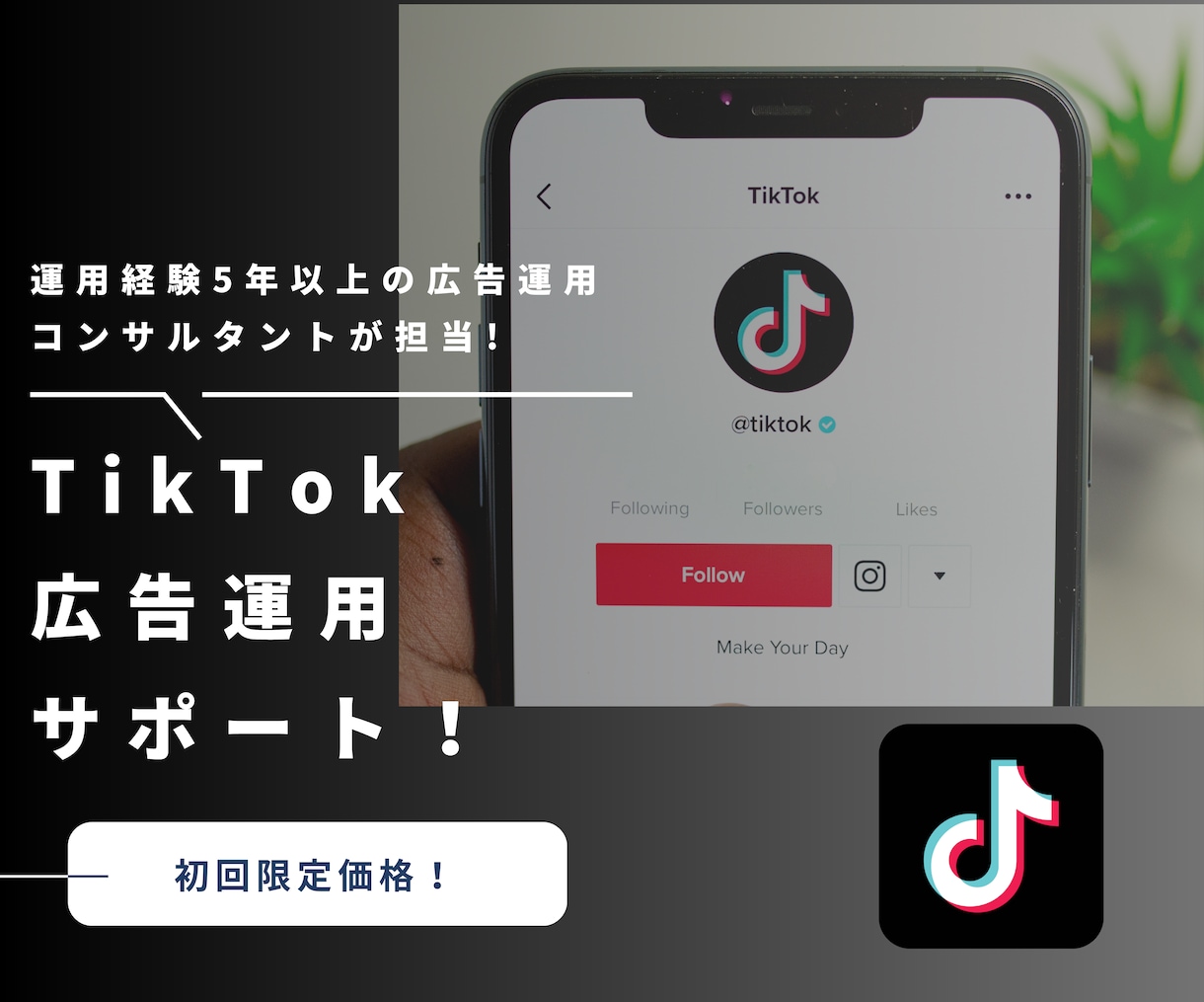 TikTok広告の設定・運用をプロがサポートします Z世代に届く広告を。TikTok広告運用、一から教えます イメージ1