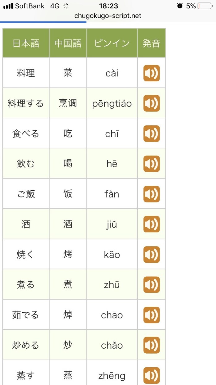 初心者向けの中国語を発音から教えます 留学経験で培った中国語でわかりやすく教えます。 イメージ3