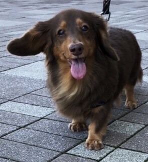 人物・動物を美しく見せるレタッチをします 現役レタッチャーによる人物の肌修整、写真全体の色補正 イメージ3