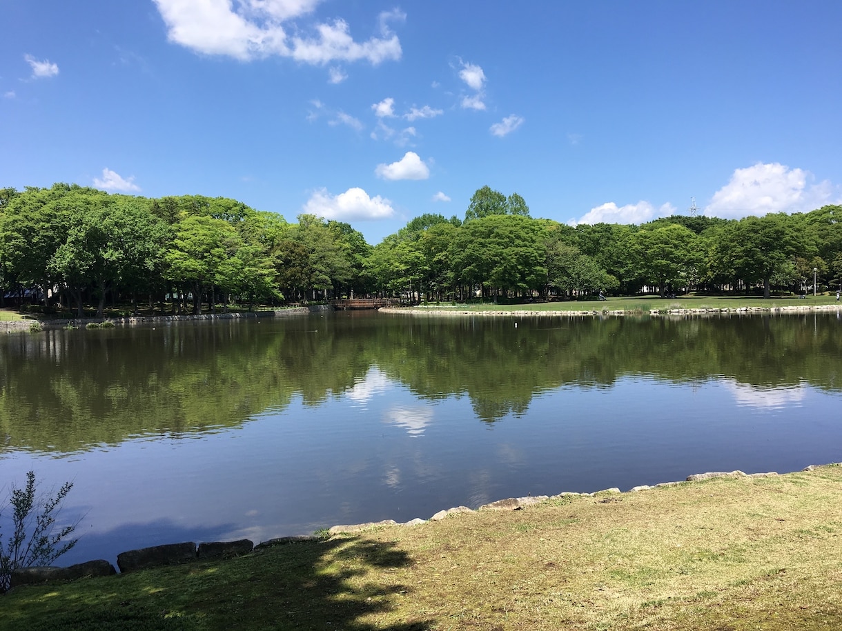 タロットを使ってお悩み相談します 5分から話し相手になります！なんでもご相談ください。 イメージ1