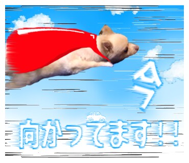 あなたの大切な写真でLINEスタンプ作ります 家族・友人・仲間・ペット・ご自身、何でもござれ!! イメージ5