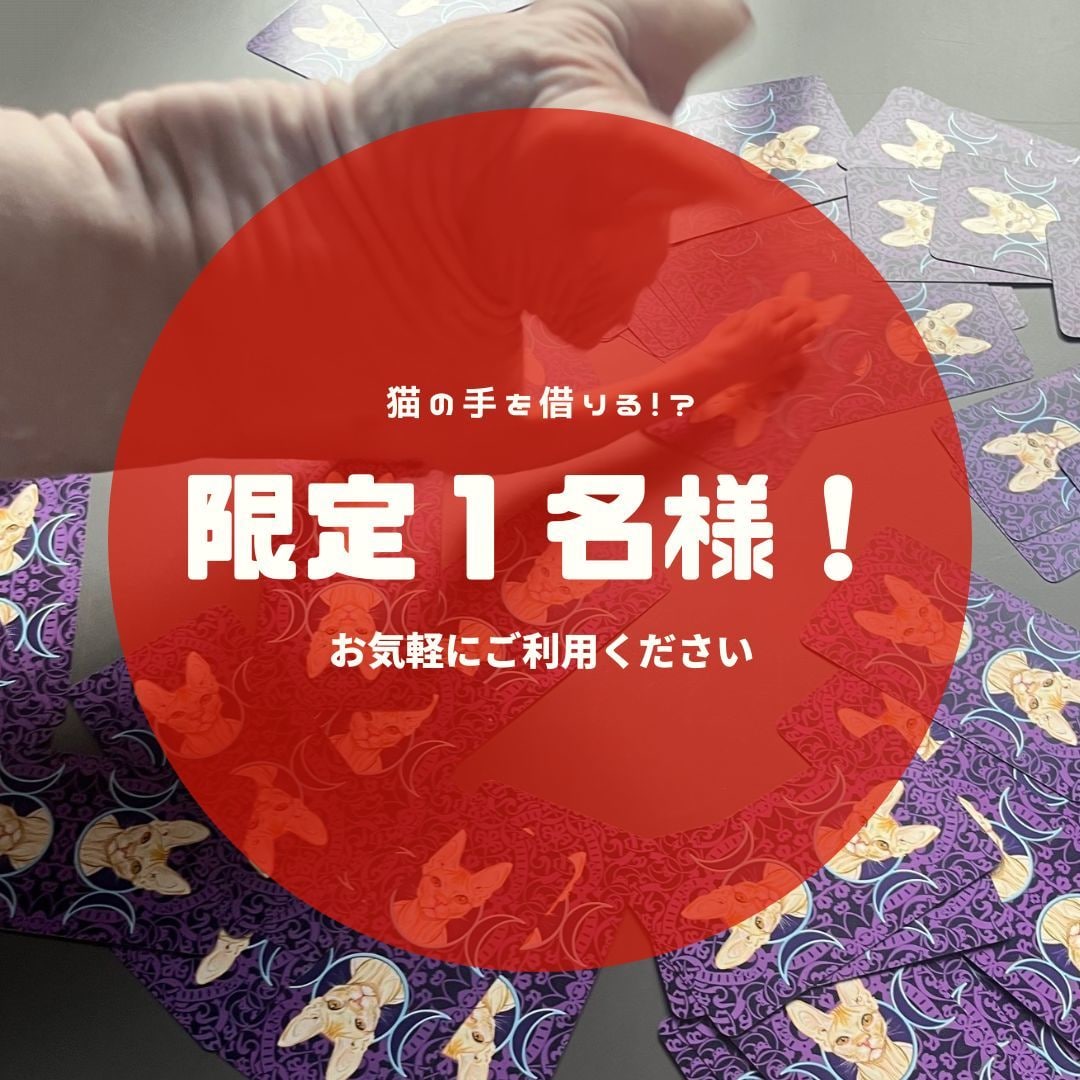 限定１名様・職場での未来を切り開きます オッドアイのスフィンクス猫によるタロット占い イメージ1