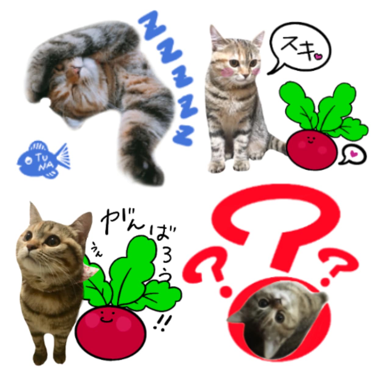ペットやお子様の可愛いLINEスタンプお作りします 世界に一つだけのオリジナルスタンプを心を込めておつくりします イメージ4