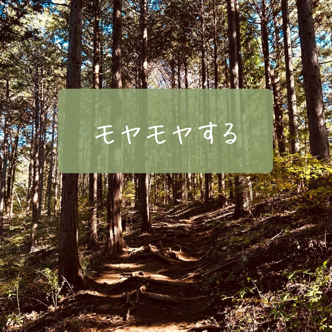 今感じている生きづらさをあなたと一緒に悩み考えます 独りで考えると不安になりがち、悩むときは一緒に考えませんか？ イメージ4