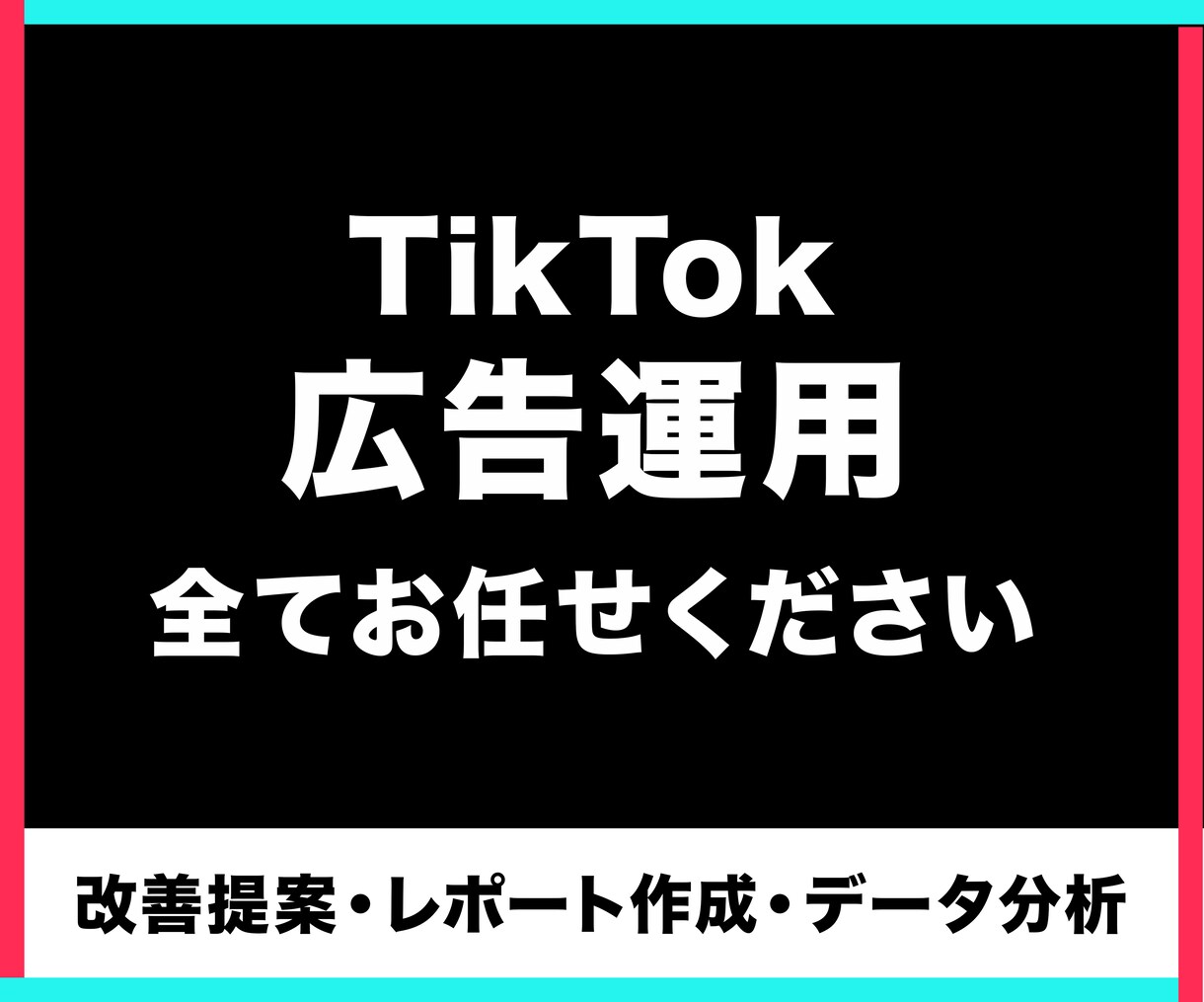 初期費用無し！TikTok広告運用を代行いたします 運用歴10年の代理店がTikTok広告を運用 イメージ1