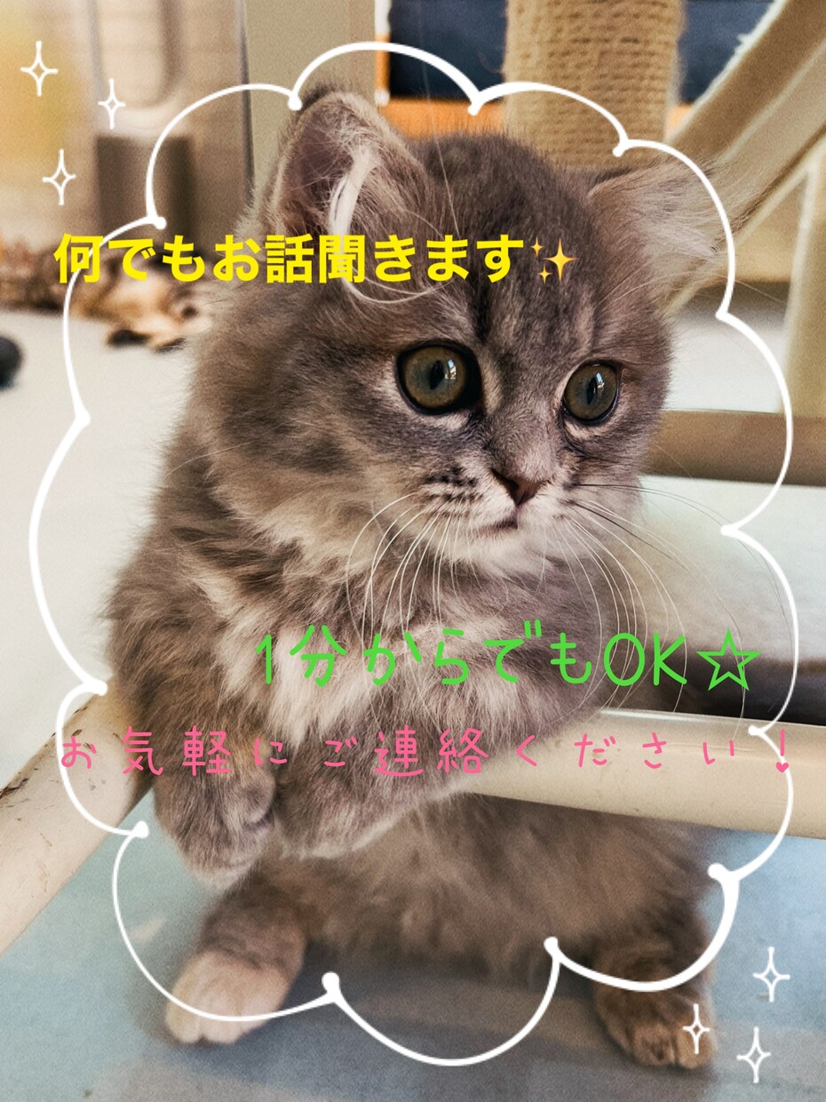 あなたの愚痴をゆっくりお聞きします 恋人、夫婦、義理の親、会社、育児の愚痴なのど話してスッキリ イメージ1