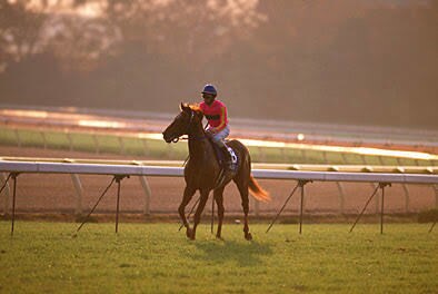 G1レースの予想を提供いたします 今年の天皇賞秋も万馬券獲りました！証拠画像有!競馬予想 イメージ1