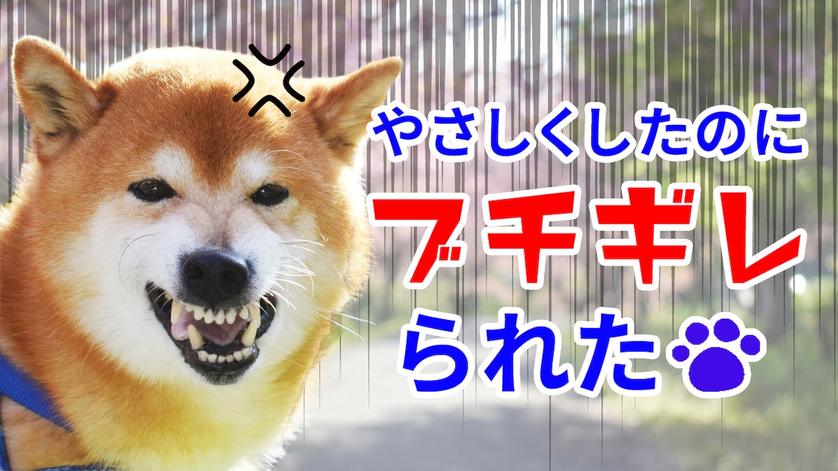 サムネイルってけっこう重要なのですが知って？ます 目立つ高品質なYouTubeサムネイル画像で視聴率をアップ！ イメージ2