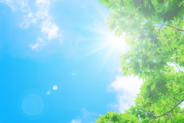 トークであなたをやさしく包み込みます ちょっと疲れたあなたに寄り添います。ゆっくり休んでください イメージ5