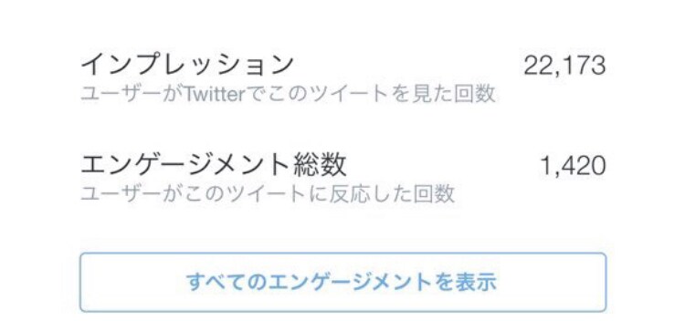 twitterでRT100保証します twitterで100RT保証で宣伝いたします。 イメージ2