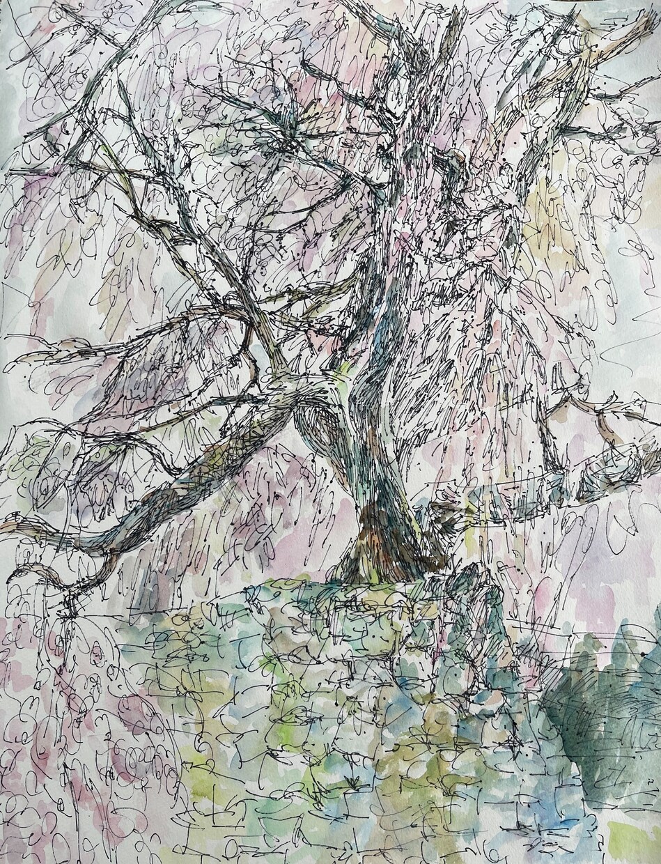 思い出の風景や建物をペン&水彩にて飾れる絵にします 来客からはインテリアに、あなたにとっては情景として飾れます イメージ10