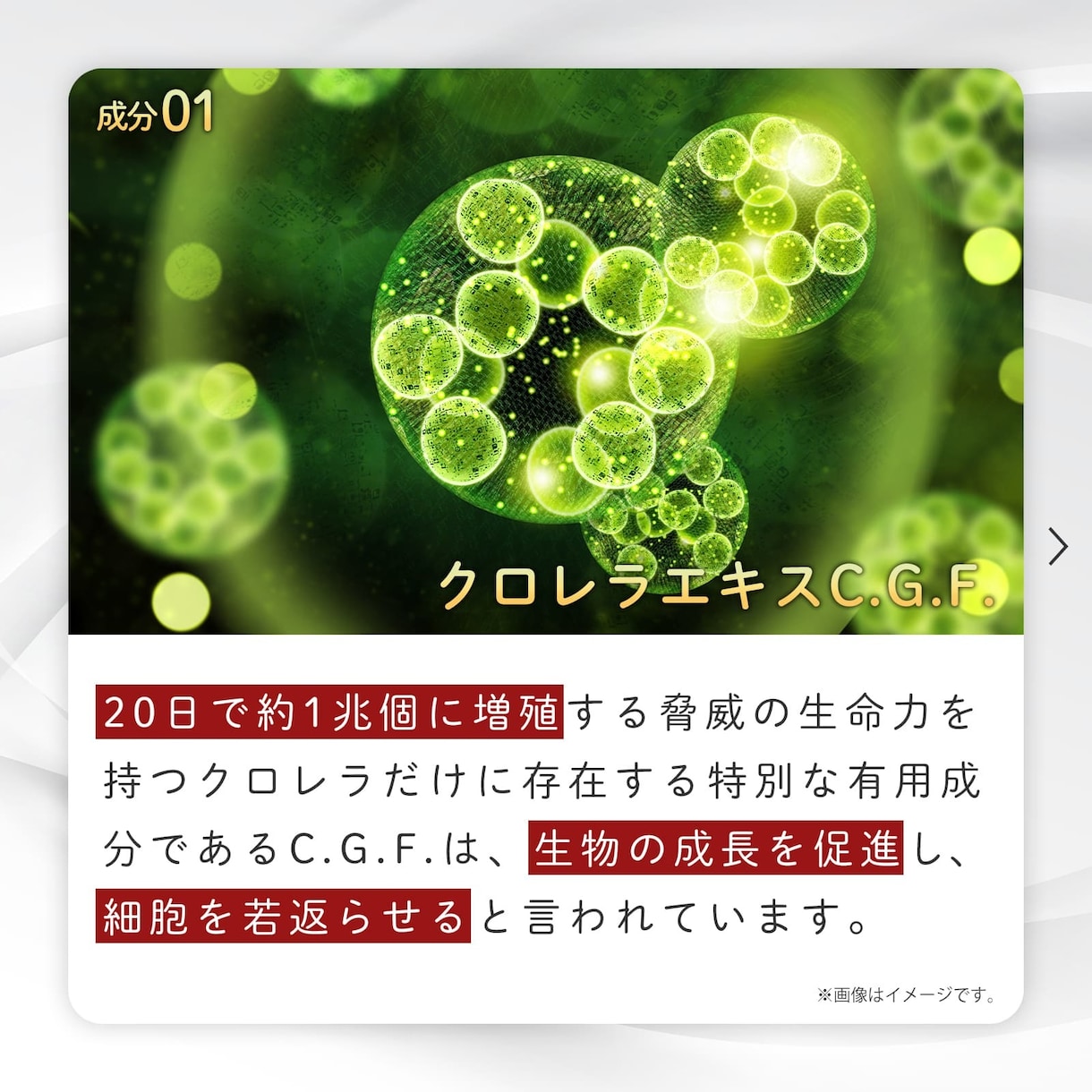 アマゾン楽天ヤフーメルカリ等の商品画像を作成します LINE広告バナー・SNS広告などあらゆる画像も制作します イメージ4