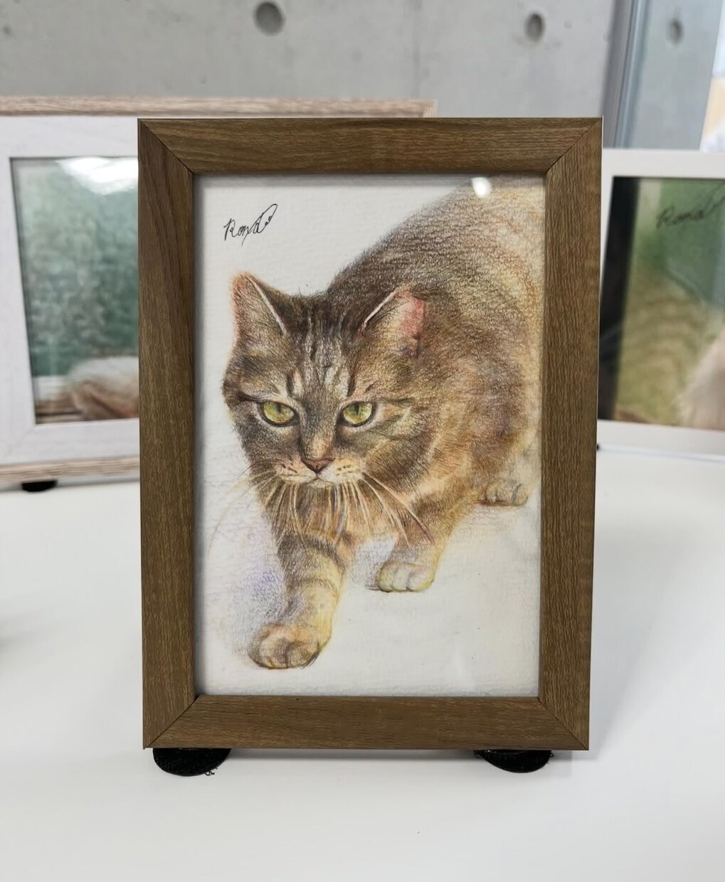 動物イラスト描きます 油絵や色鉛筆などを使って手元に残せる作品をお届けします イメージ4