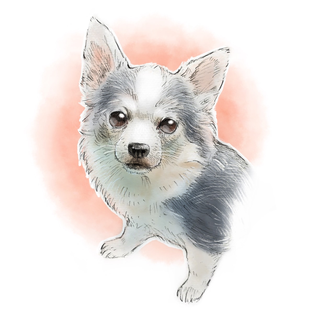 リアルタッチのペットの似顔絵描きます お写真から鉛筆とデジタル着彩であたたかい仕上がりに。 イメージ4