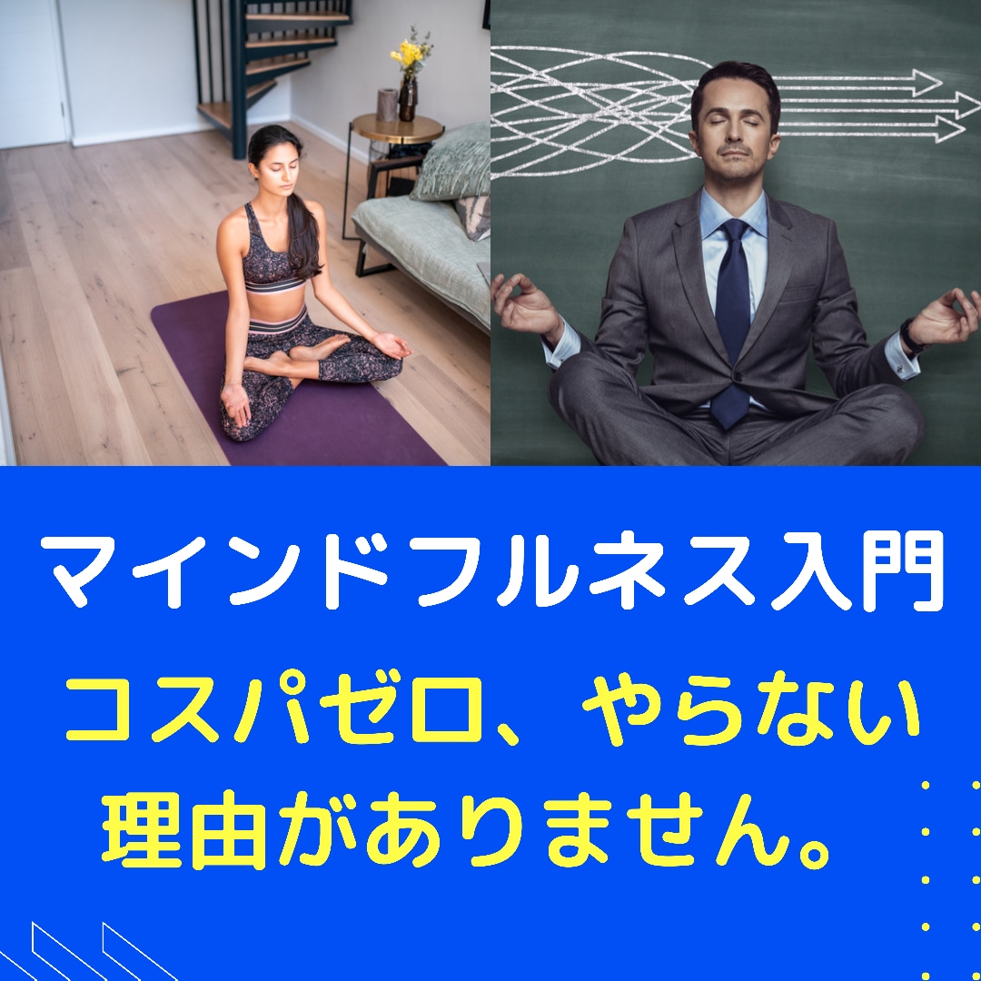 メンタルトレーナーが瞑想プログラム作成します 5日間であなたに合ったマインドフルネスと習慣法を授けます。 イメージ1