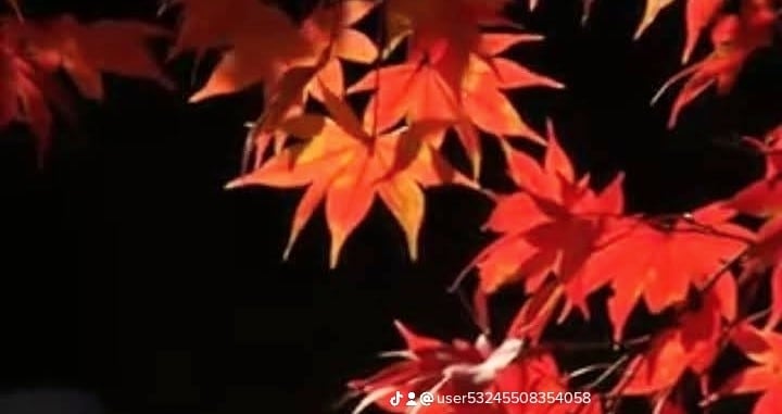 霊感霊視タロットとボイジャータロットで視ていきます お相手のお気持ち・状況・未来を視ていきます イメージ7