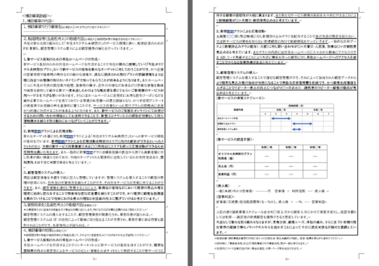 旅行代理店★持続化補助金採択書類をお譲りします 採択済みの事業計画書を【テンプレート】としても利用できます！ イメージ5