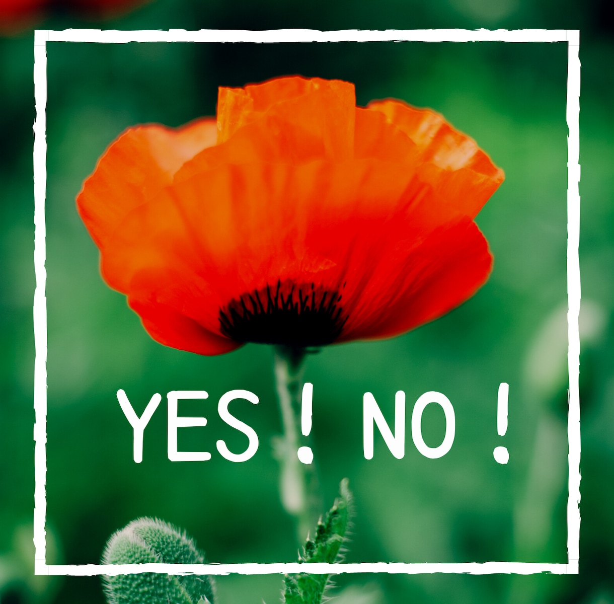 ハイヤーセルフがYES,NOで答えてくれます あなたのハイヤーセルフにつながり、質問の答えをお訊きします。 イメージ1