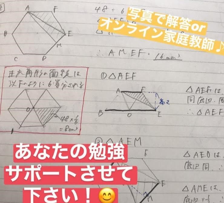 1ヶ月あなた専属！チャット形式で勉強教えます 【１ヶ月】利用時間無制限！現役プロ家庭教師が適切にサポート！ イメージ2