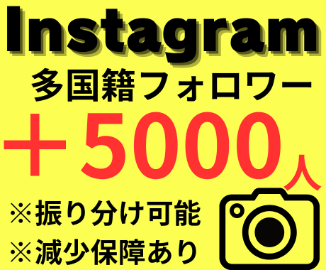 Instagramのフォロワーを増やします Instagaram振り分け可能/減少保証付き イメージ1