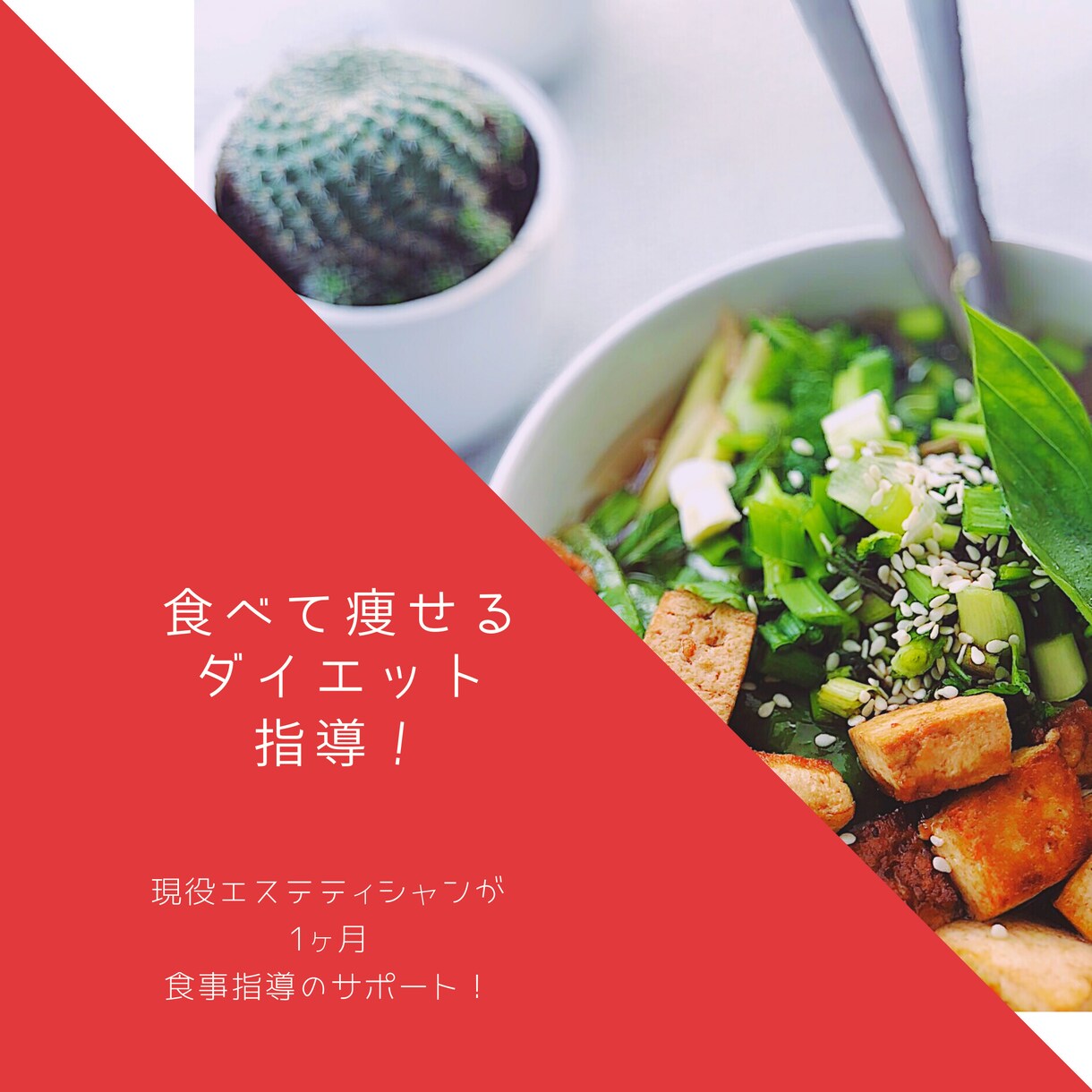 正しいダイエットを2週間指導します 健康的にダイエットしたいあなたに教えます イメージ1