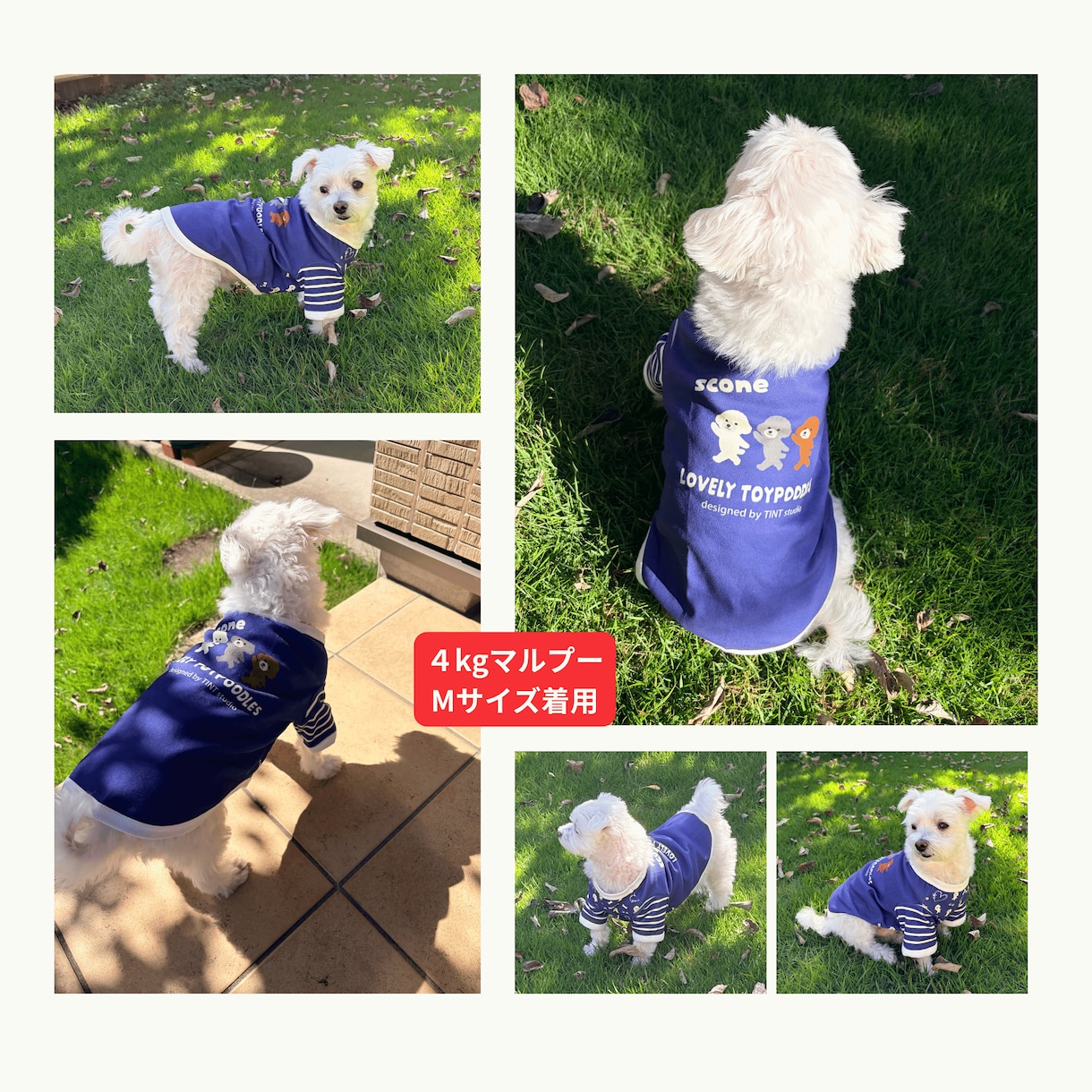 ワンちゃんのお洋服オリジナルで作ります 全面プリントでうちの子オリジナルお洋服をお届けします イメージ5