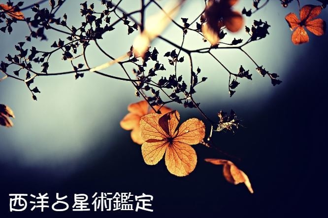 あなたの自己肯定感の高め方教えます 人気占い師伝授自己愛、自己肯定感、自分に対する自信の見出し方 イメージ3