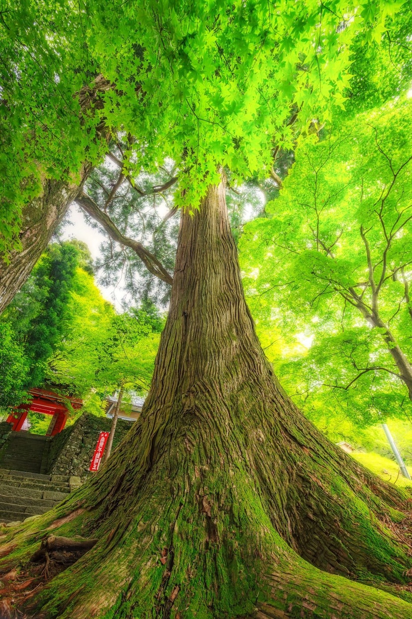 秘密厳守　おもいっきり自由なお話し時間待ってます 今日も一日お疲れ様でした。話して下さい。聞かせて下さい。 イメージ1