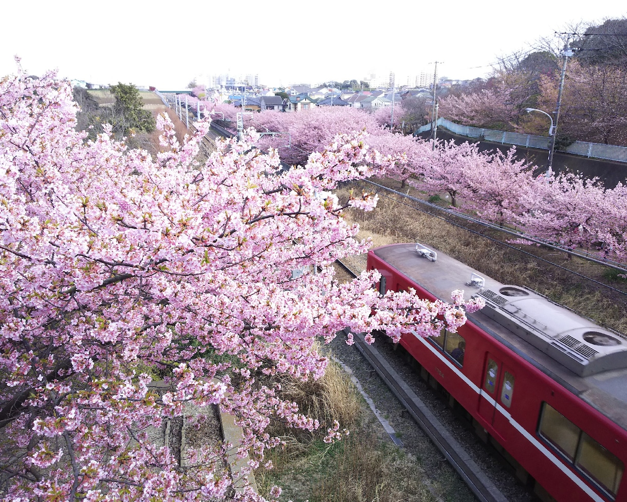 聴き上手とよく言われます。私があなたの愚痴聞きます 否定はしません。誰にも言えないもやもや優しく受け止めます。 イメージ1