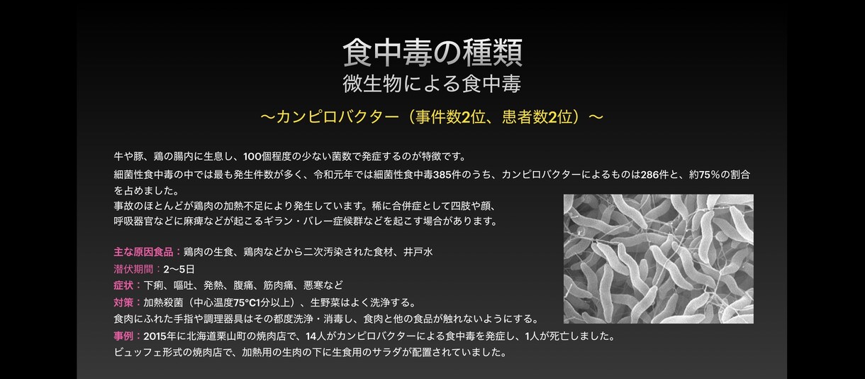 食中毒についての研修資料をご提供します 食中毒菌の種類、対策についてまとめるのは面倒ですよね イメージ2