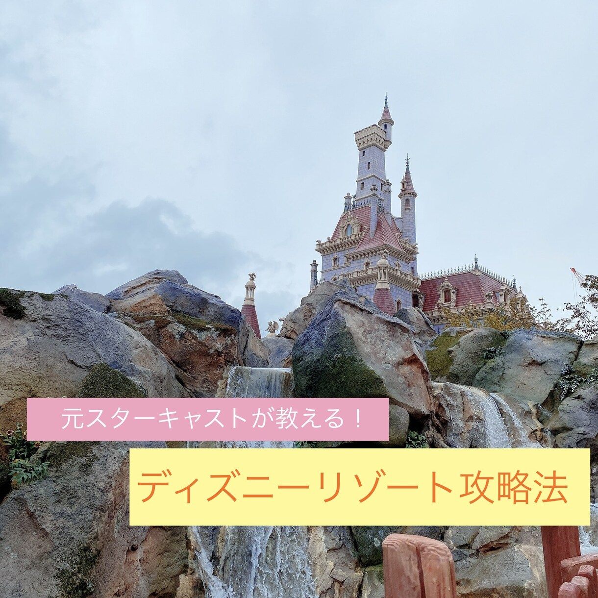 ディズニーリゾートの効率的な回り方を教えます ！アトラクションもショーもグリーティングも諦めたくない！！ イメージ1