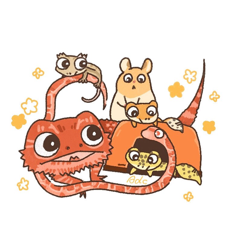 動物のイラスト作成します とことんこだわる！犬、猫、鳥、なんでも描きます！ イメージ7