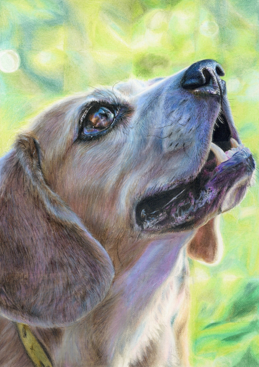 あなたの思い出を御描きします あなたの思い出や写真、ペットを御描きします。 イメージ2
