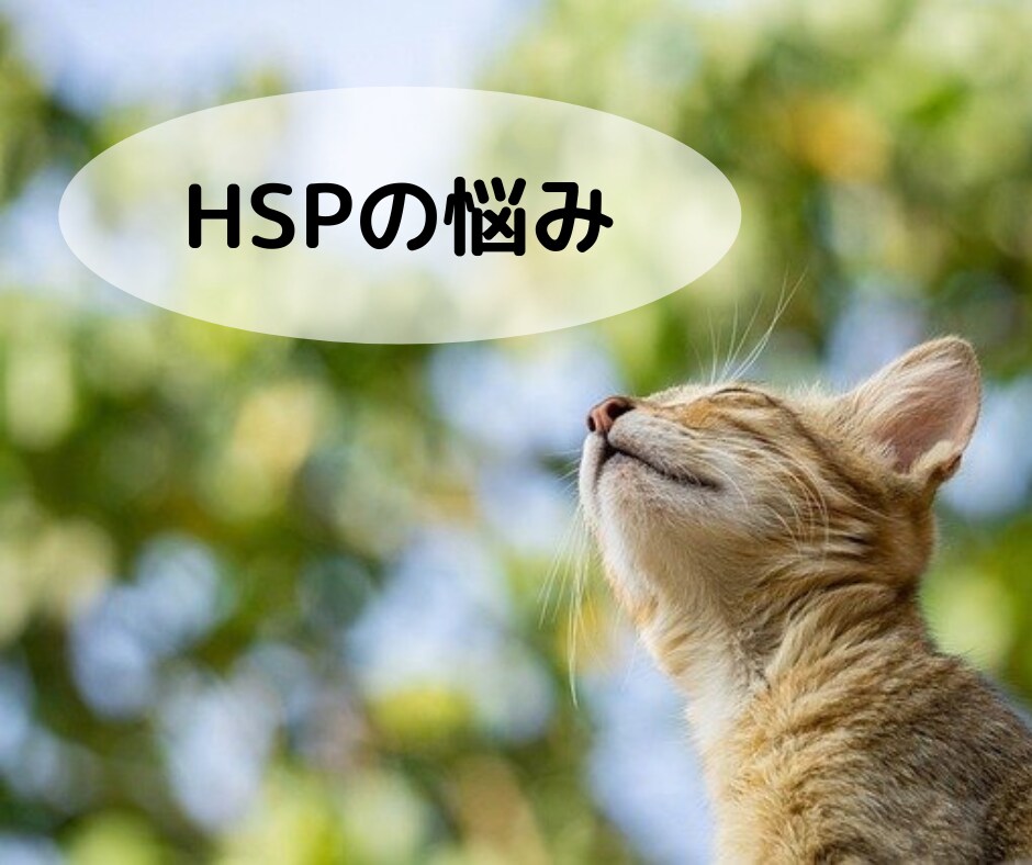 HSPの分かってもらえない気持ちをそのまま聴きます ♡同じHSP安心して話してください。心がほぐれていきますよ。 イメージ2