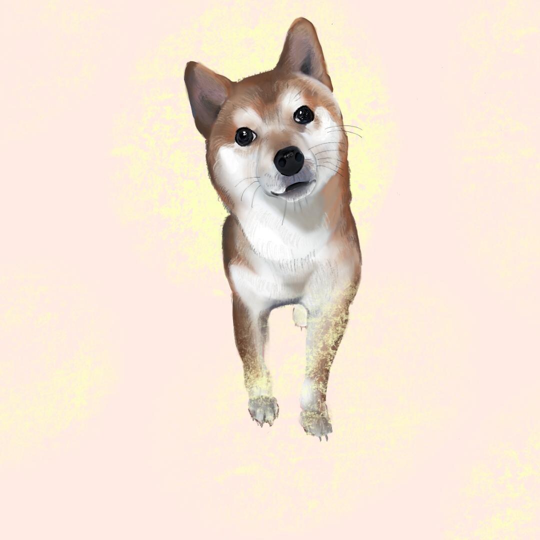 3ポーズ3枚あなたのペットの絵を描きます 動物 リクエスト背景入可能 ペット絵 うさぎ 犬 猫 小動物 イメージ4