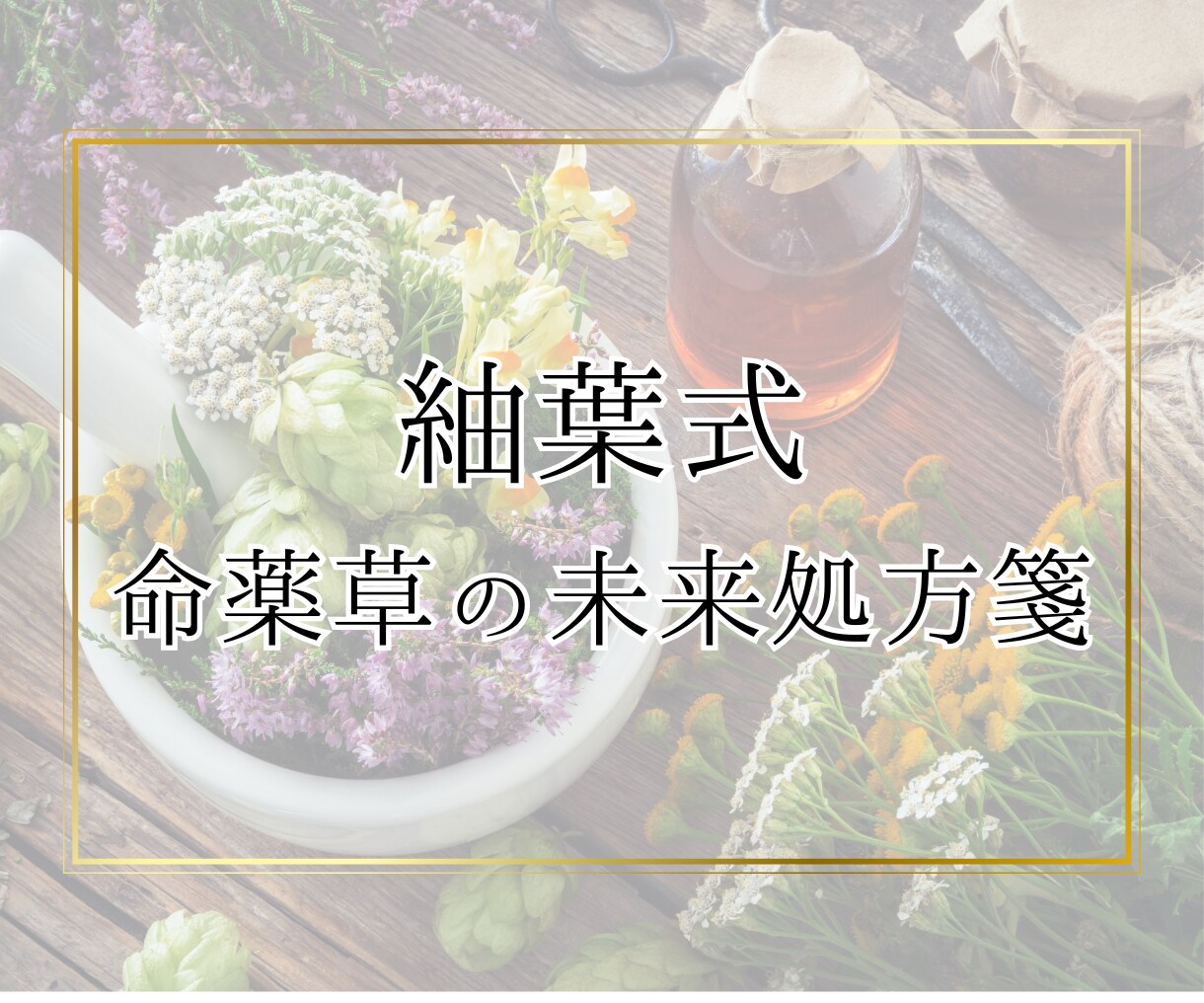 四柱推命と命薬草であなたの未来を優しく調えます あなたの宿命を読み解き、そっと導く命薬草処方箋をお届けします イメージ1