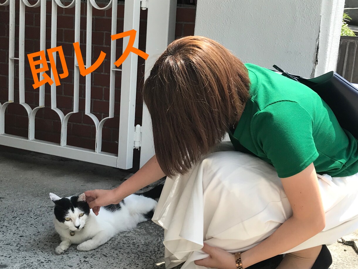 即レス✩.*˚LINE感覚で1時間チャットします 即レスです！1時間愚痴や相談などなど…などなど何でもどうぞ♡ イメージ1