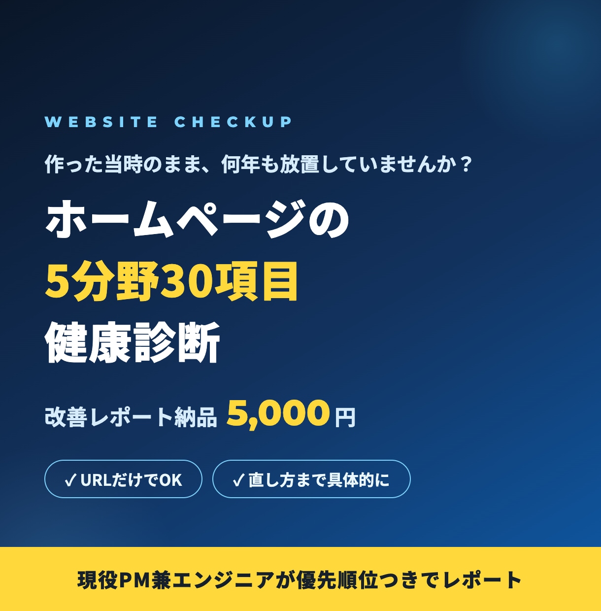 ホームページの改善点をプロ目線で診断します ホームページの健康診断。直すべき所を優先順位つきで イメージ1