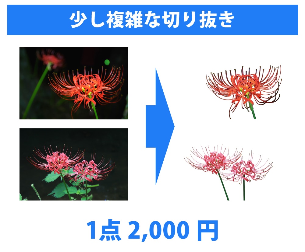 お急ぎフォトショ対応！承ります 写真の切抜き/合成/修正などを即日対応致します！ イメージ3
